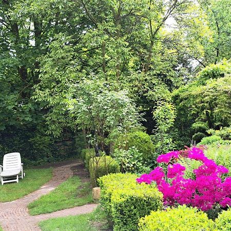 Guesthouse Vakantiehuis In Een Mooie Tuin In Het Centrum Van Zuidlaren! Eksteriør billede