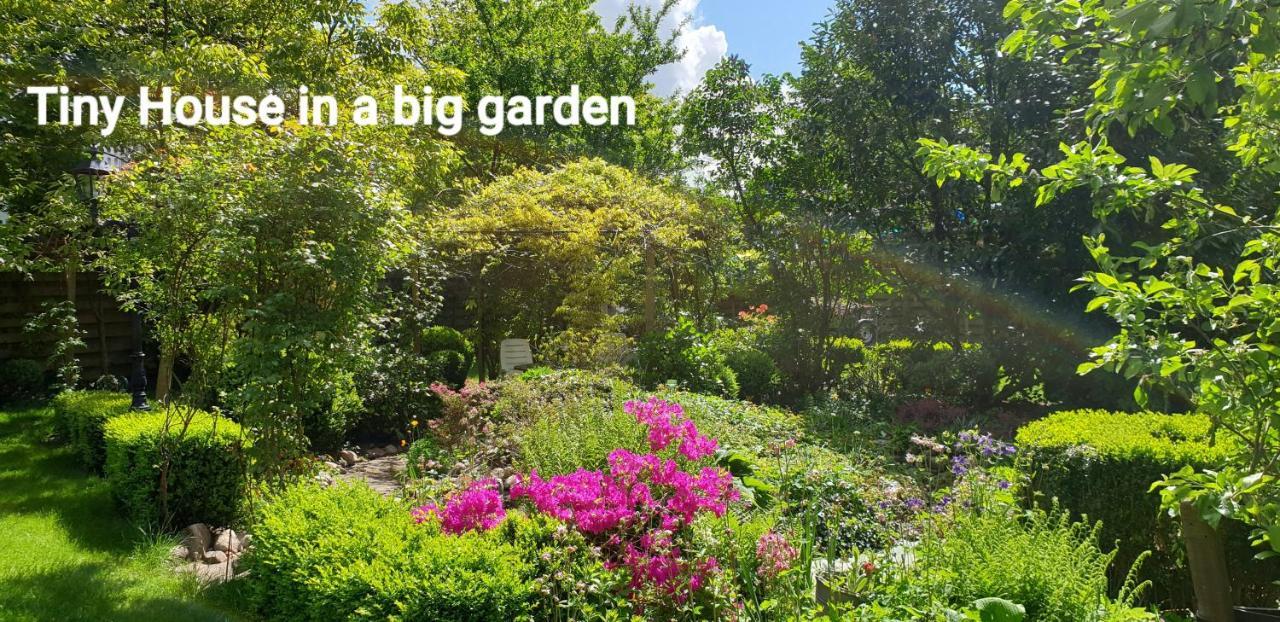Guesthouse Vakantiehuis In Een Mooie Tuin In Het Centrum Van Zuidlaren! Eksteriør billede