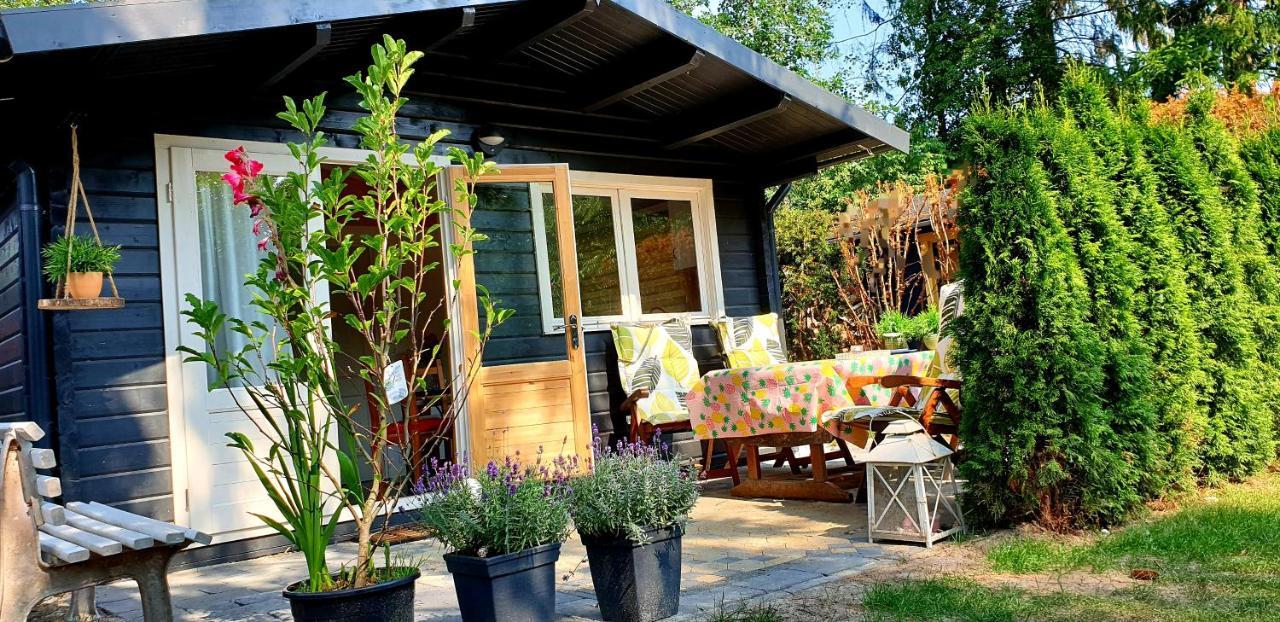 Guesthouse Vakantiehuis In Een Mooie Tuin In Het Centrum Van Zuidlaren! Eksteriør billede