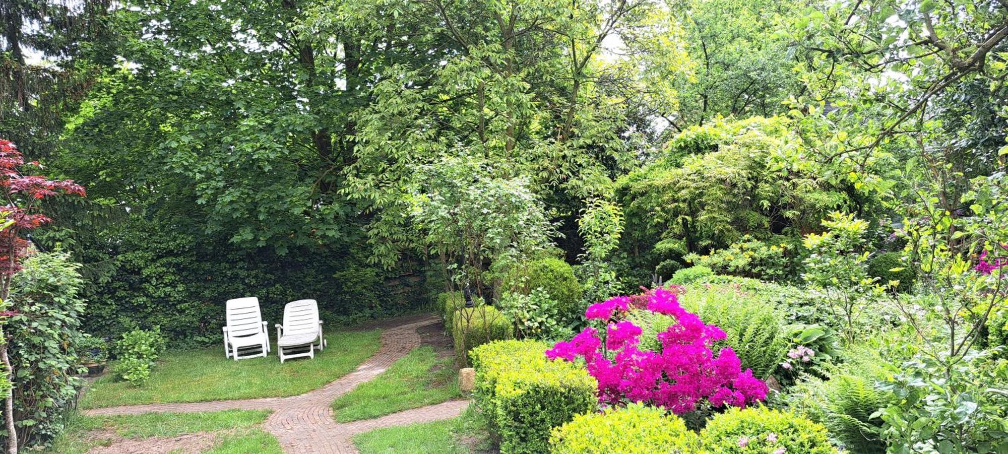 Guesthouse Vakantiehuis In Een Mooie Tuin In Het Centrum Van Zuidlaren! Eksteriør billede