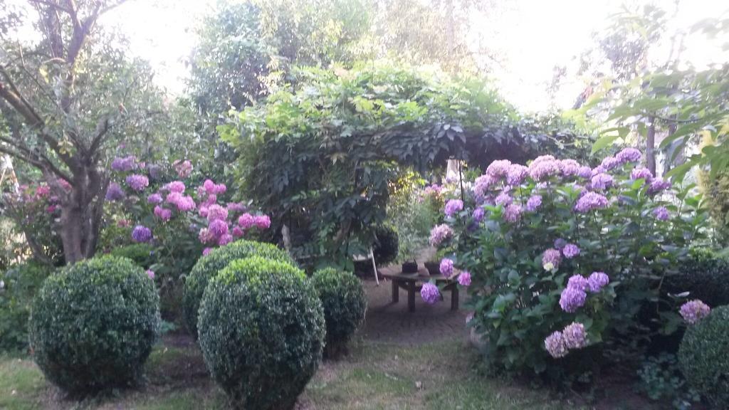 Guesthouse Vakantiehuis In Een Mooie Tuin In Het Centrum Van Zuidlaren! Eksteriør billede