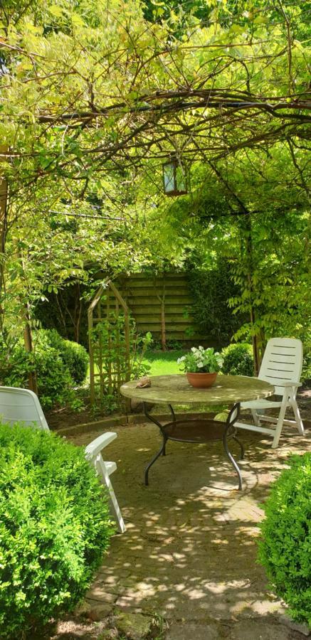 Guesthouse Vakantiehuis In Een Mooie Tuin In Het Centrum Van Zuidlaren! Eksteriør billede